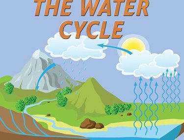 The Water Cycle